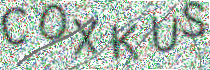 Captcha Image: you will need to recognize the text in it.